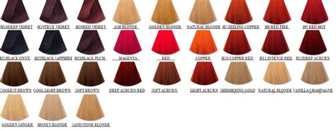 hicolor hair dye|hicolor permanent hair color.